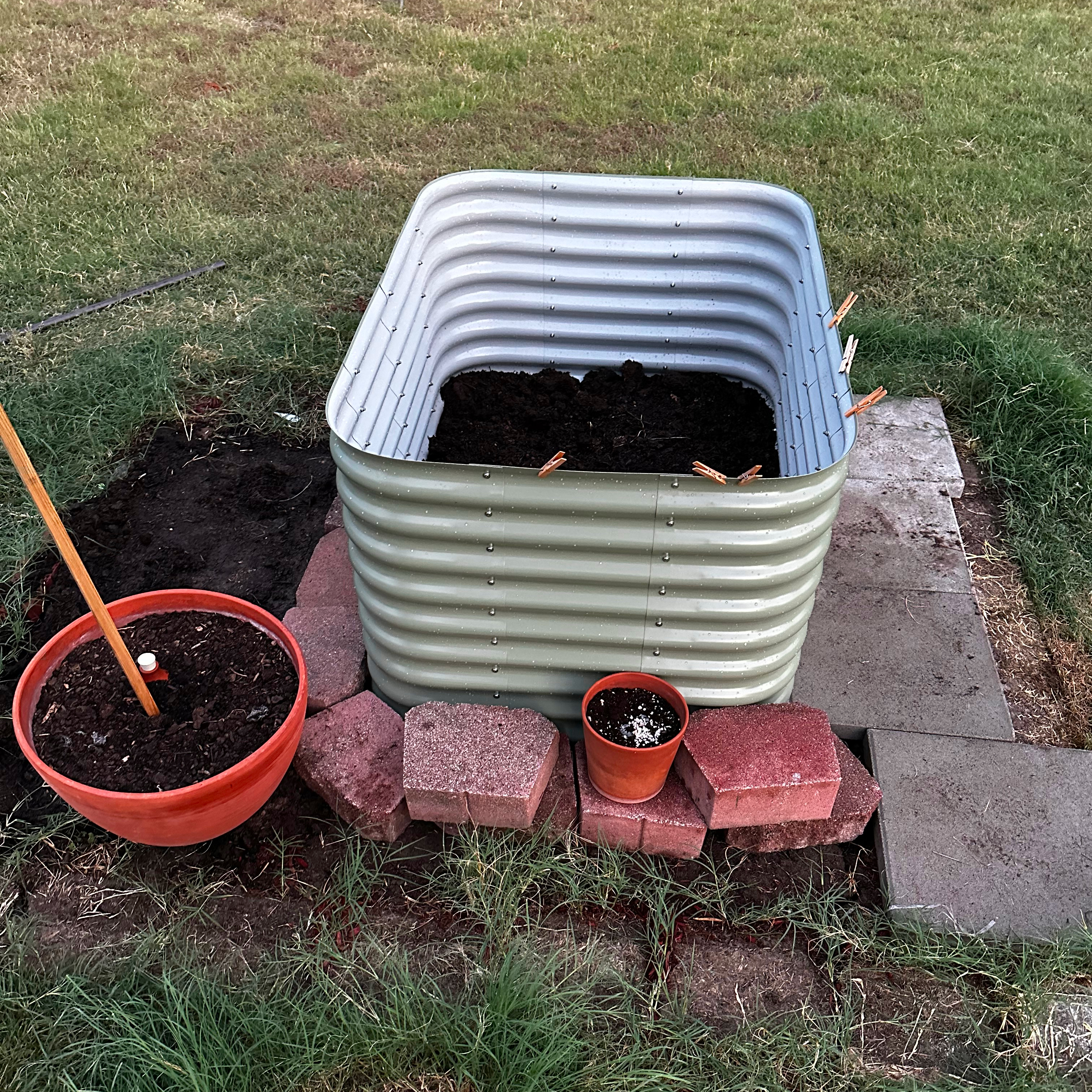 New raised bed & olla bottle