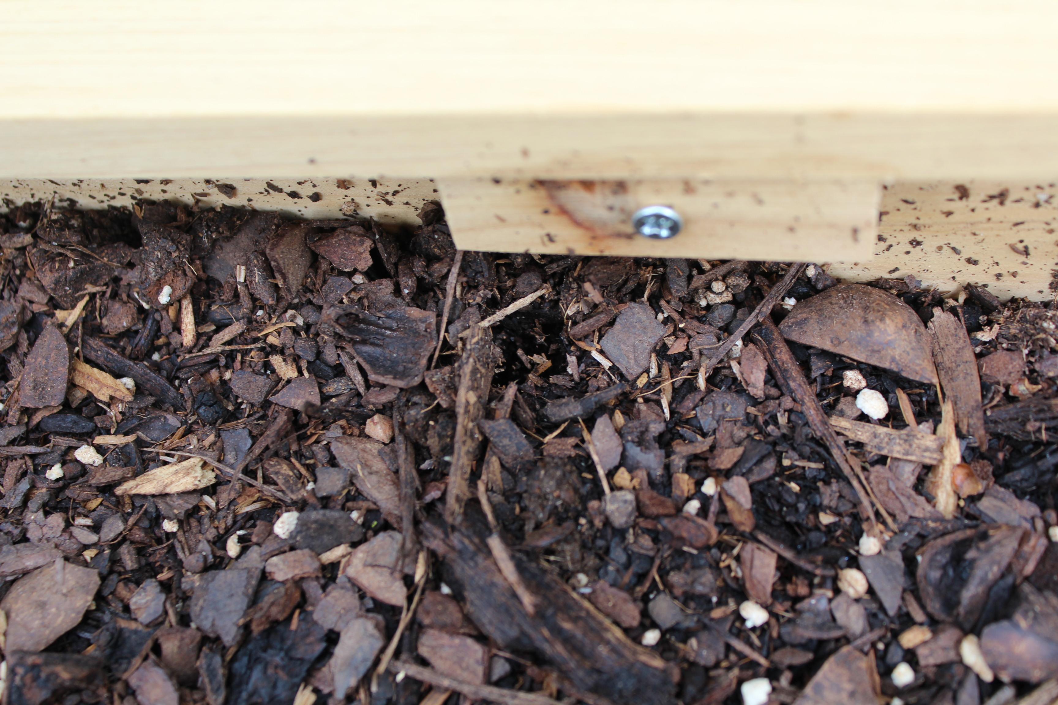 spiderBurrow